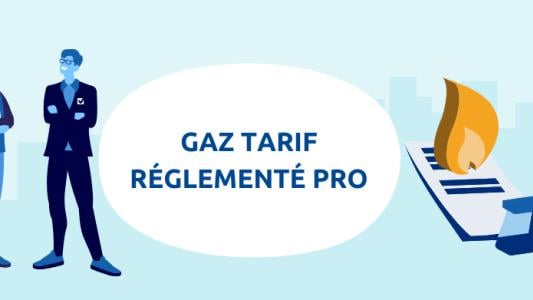 gaz trv pro